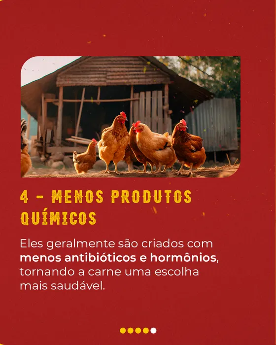 Peça de social media produzida pela Domos para Sabor Caipira